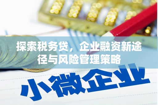 崇仁探索税务贷，企业融资新途径与风险管理策略