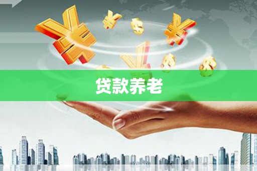 崇仁贷款养老