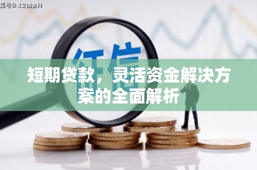 崇仁短期贷款，灵活资金解决方案的全面解析