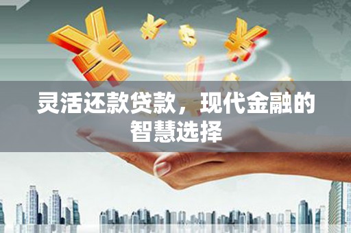 崇仁灵活还款贷款，现代金融的智慧选择
