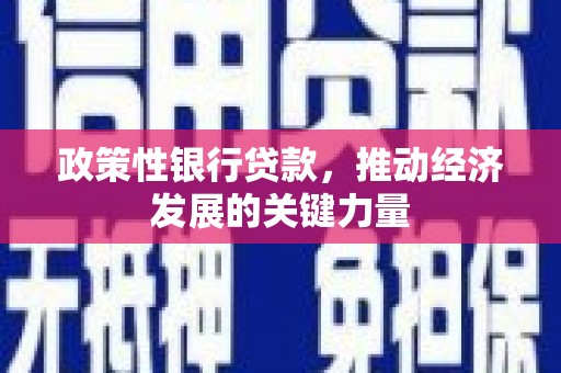 崇仁政策性银行贷款，推动经济发展的关键力量
