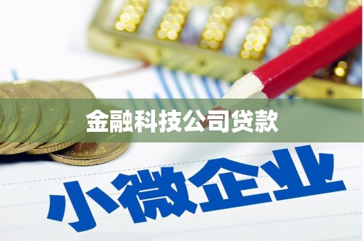 崇仁金融科技公司贷款