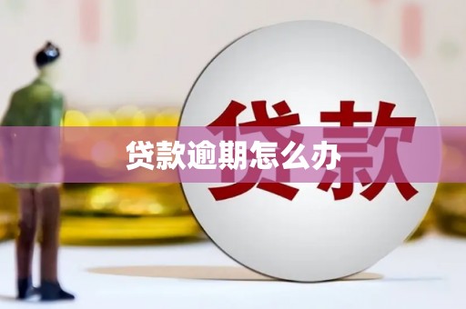 崇仁贷款逾期怎么办