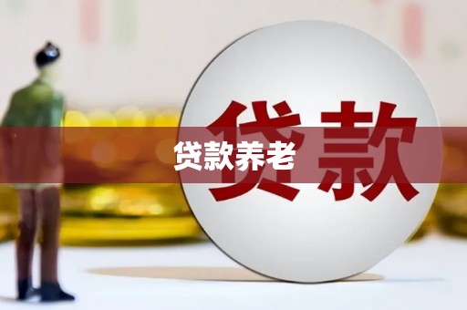 崇仁贷款养老