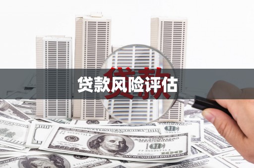 崇仁贷款风险评估