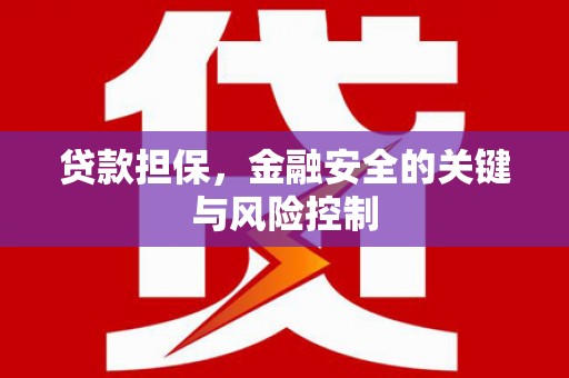崇仁贷款担保，金融安全的关键与风险控制