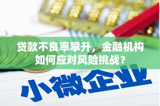 崇仁贷款不良率攀升，金融机构如何应对风险挑战？