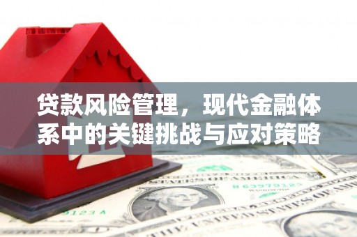 崇仁贷款风险管理，现代金融体系中的关键挑战与应对策略
