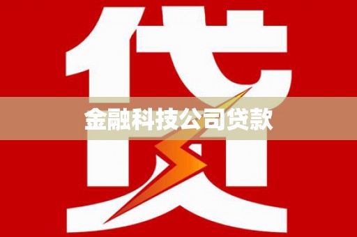 崇仁金融科技公司贷款