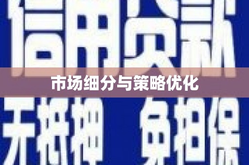 崇仁市场细分与策略优化