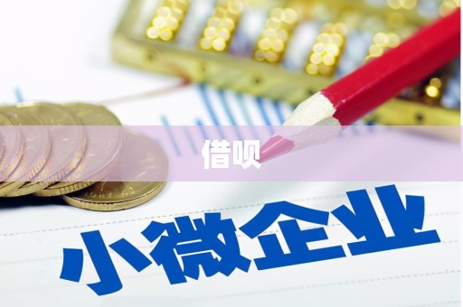 崇仁借呗