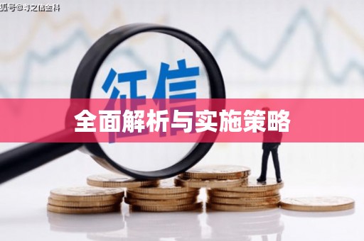 崇仁全面解析与实施策略