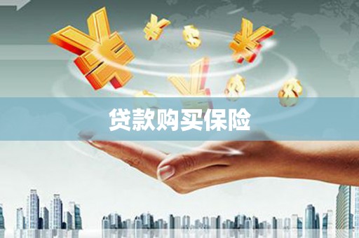 崇仁贷款购买保险