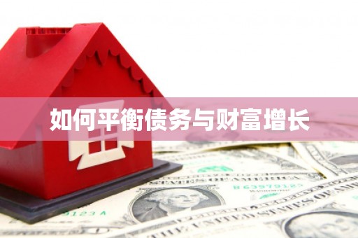 崇仁如何平衡债务与财富增长