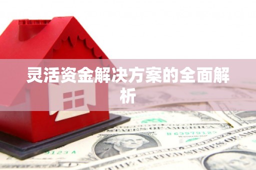 崇仁灵活资金解决方案的全面解析