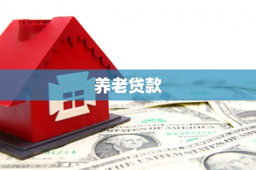崇仁养老贷款
