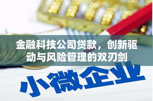 崇仁金融科技公司贷款，创新驱动与风险管理的双刃剑